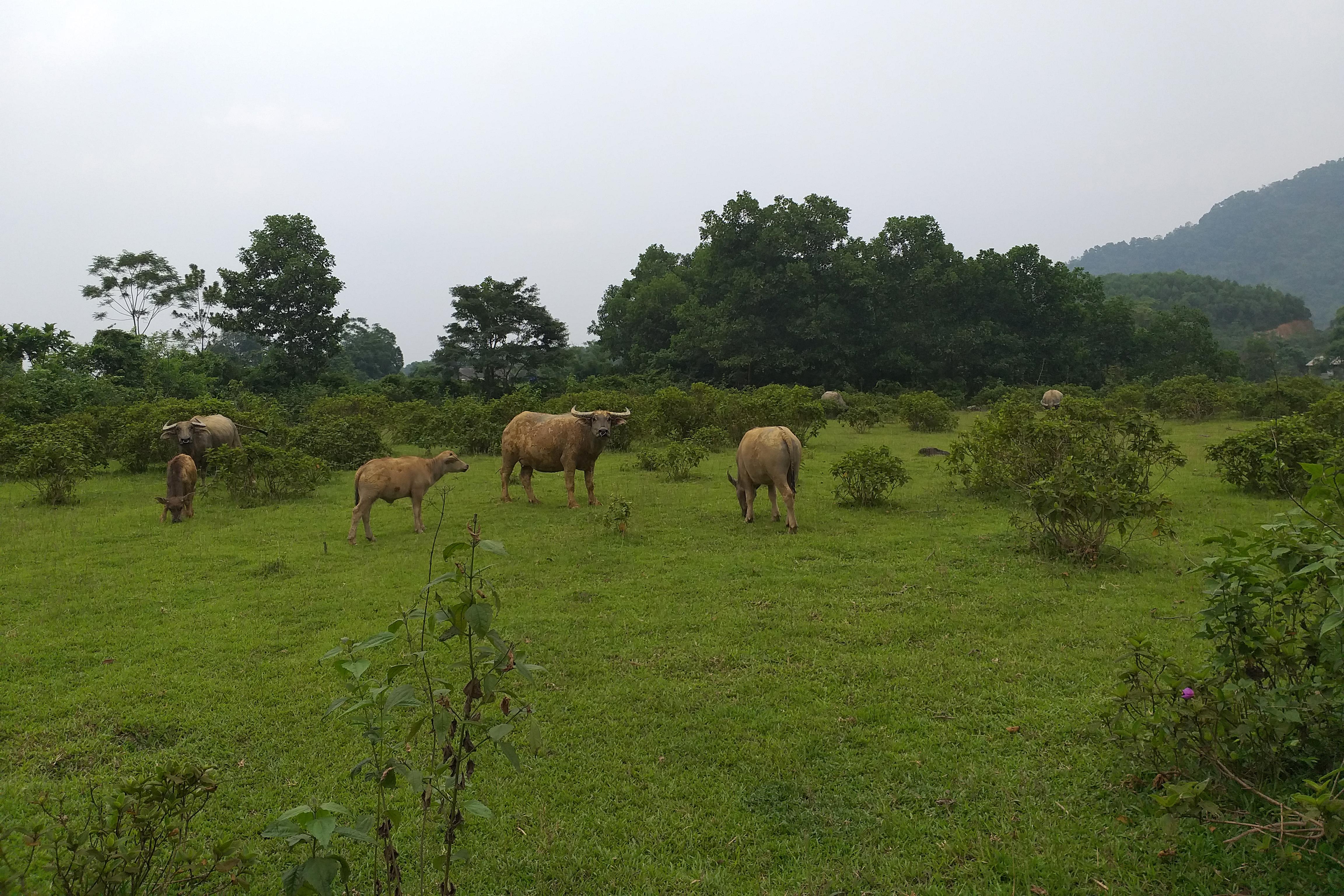 Cần sớm xem xét khởi tố vụ án, khởi tố các bị can liên quan